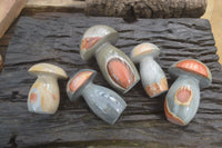 Polished Polychrome Jasper Mushrooms x 5 From Madagascar - Toprock Gemstones and Minerals 
