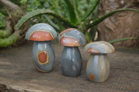 Polished Polychrome Jasper Mushrooms x 5 From Madagascar - Toprock Gemstones and Minerals 