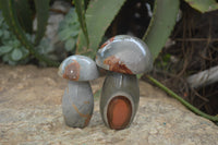Polished Polychrome Jasper Mushrooms x 5 From Madagascar - Toprock Gemstones and Minerals 