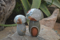 Polished Polychrome Jasper Mushrooms x 5 From Madagascar - Toprock Gemstones and Minerals 
