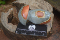 Polished Polychrome Jasper Mushrooms x 5 From Madagascar - Toprock Gemstones and Minerals 