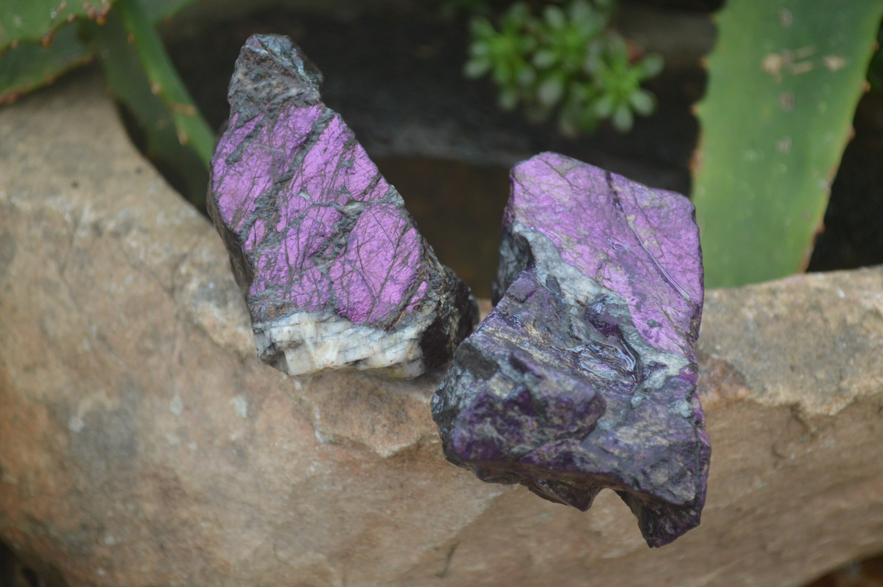 Natural Metallic Purpurite Cobbed Specimens x 12 From Erongo, Namibia - Toprock Gemstones and Minerals 