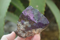 Natural Metallic Purpurite Cobbed Specimens x 12 From Erongo, Namibia - Toprock Gemstones and Minerals 