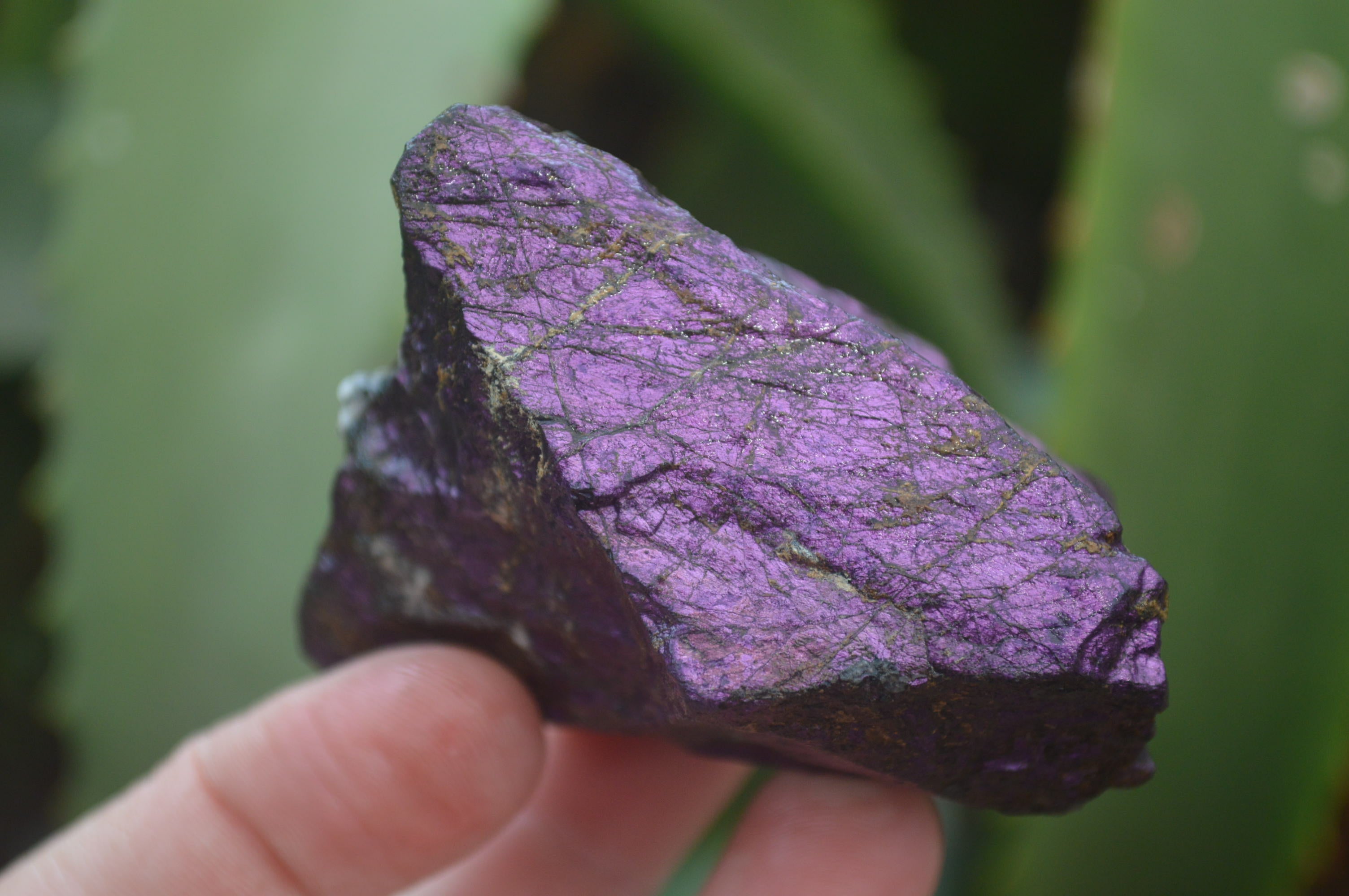 Natural Metallic Purpurite Cobbed Specimens x 12 From Erongo, Namibia - Toprock Gemstones and Minerals 