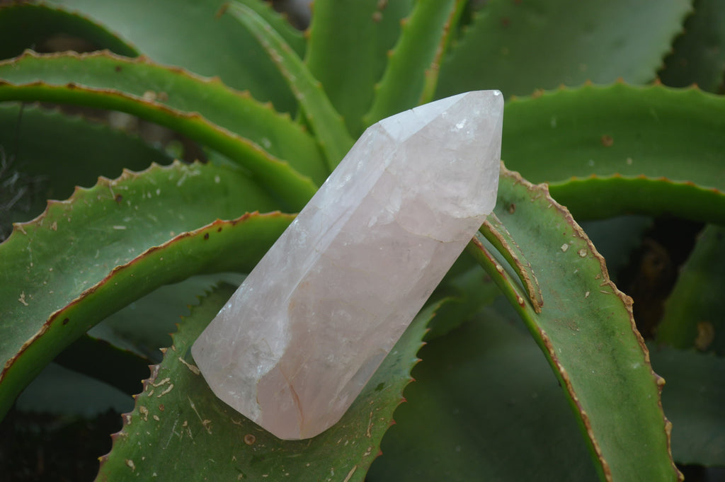 Polished Rose Quartz Point-Prisms x 3 From Madagascar - Toprock Gemstones and Minerals 