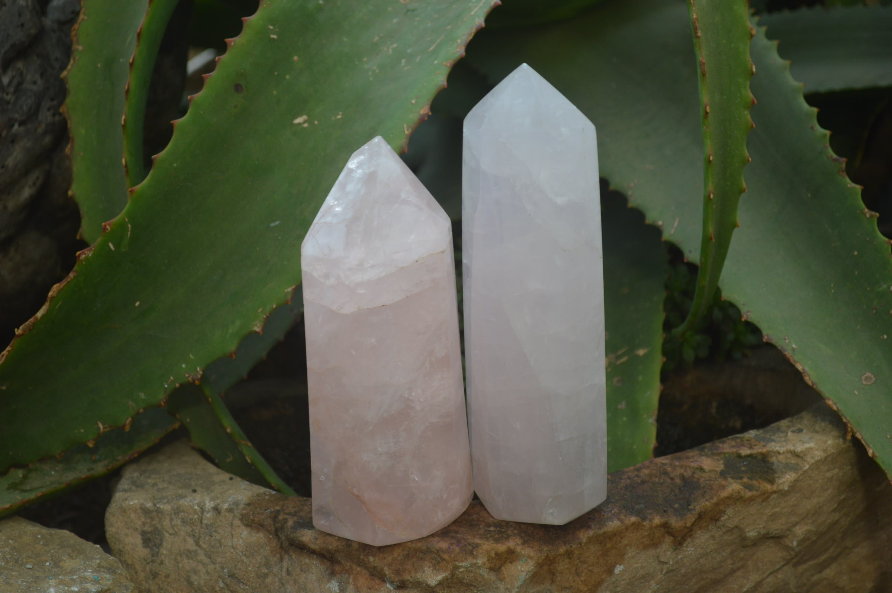 Polished Rose Quartz Point-Prisms x 3 From Madagascar - Toprock Gemstones and Minerals 