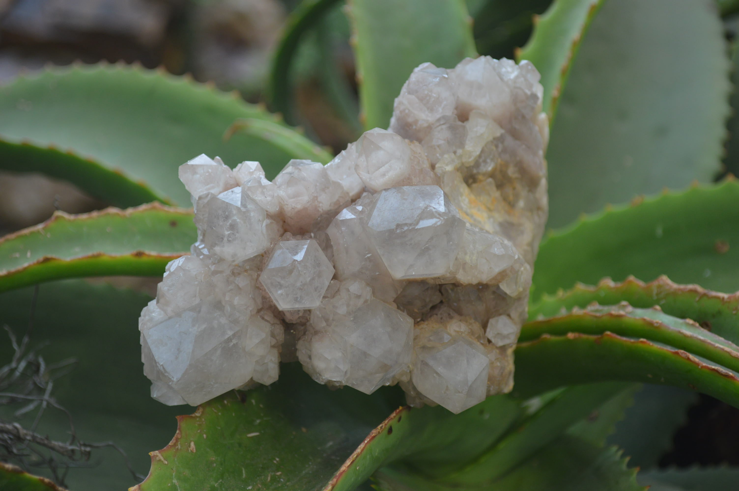 Natural Smokey Phantom Quartz Clusters x 2 From Luena, Congo - Toprock Gemstones and Minerals 