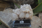 Natural Smokey Phantom Quartz Clusters x 2 From Luena, Congo - Toprock Gemstones and Minerals 