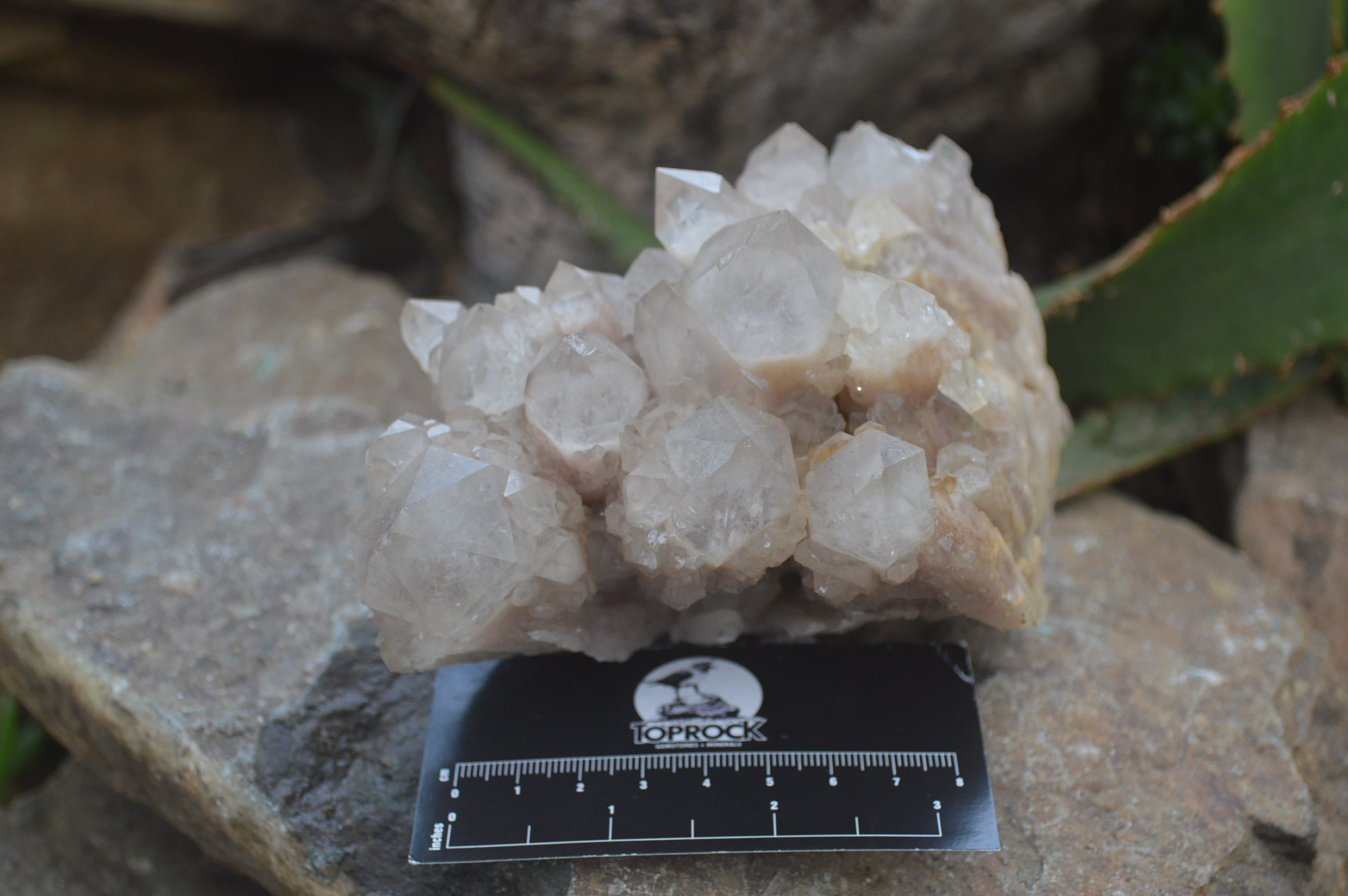 Natural Smokey Phantom Quartz Clusters x 2 From Luena, Congo - Toprock Gemstones and Minerals 