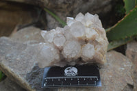 Natural Smokey Phantom Quartz Clusters x 2 From Luena, Congo