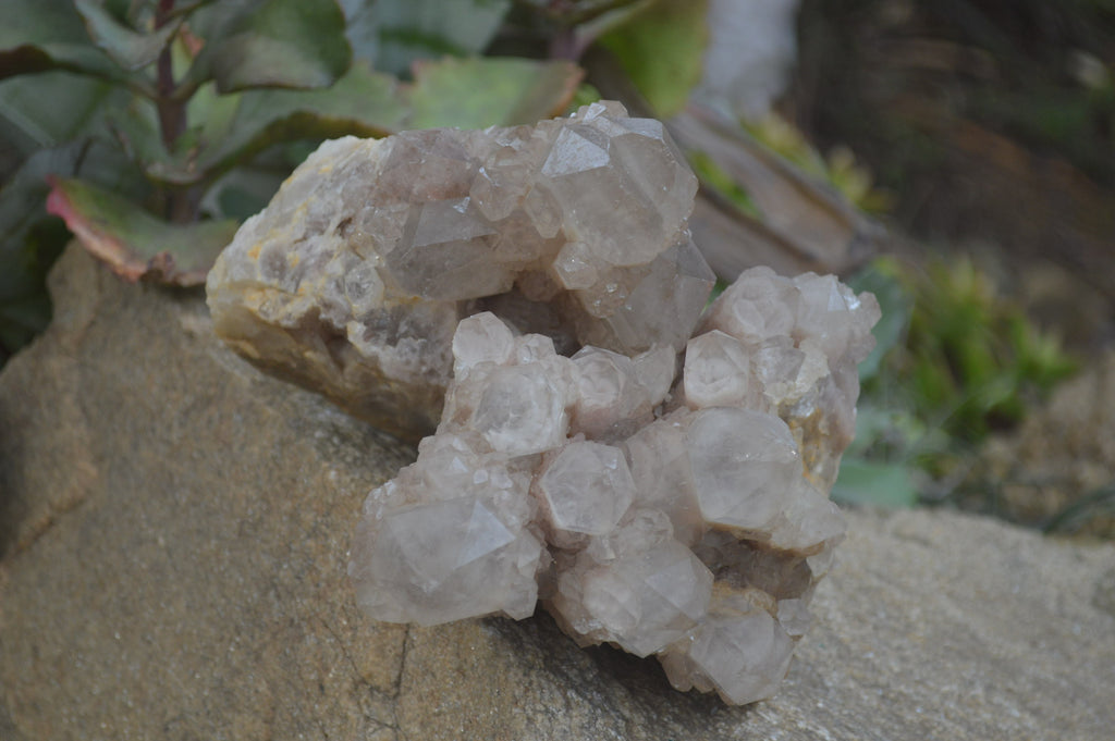 Natural Smokey Phantom Quartz Clusters x 2 From Luena, Congo - Toprock Gemstones and Minerals 