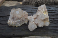 Natural Smokey Phantom Quartz Clusters x 2 From Luena, Congo