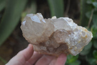 Natural Smokey Phantom Quartz Clusters x 2 From Luena, Congo