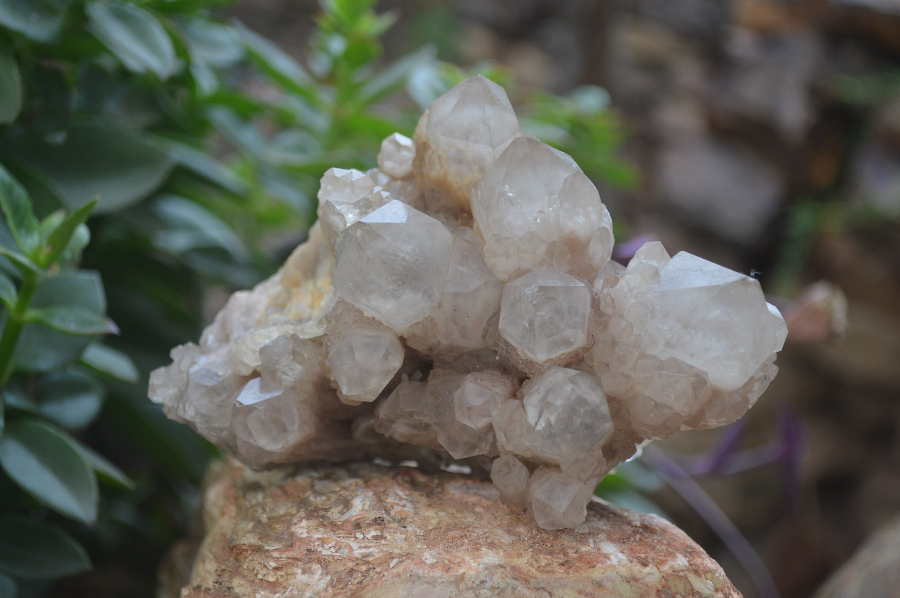 Natural Smokey Phantom Quartz Clusters x 2 From Luena, Congo - Toprock Gemstones and Minerals 