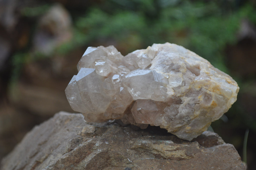 Natural Smokey Phantom Quartz Clusters x 2 From Luena, Congo - Toprock Gemstones and Minerals 