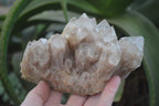 Natural Smokey Phantom Quartz Clusters x 2 From Luena, Congo - Toprock Gemstones and Minerals 