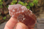 Natural Red Hematoid Quartz Specimens x 35 From Karoi, Zimbabwe - Toprock Gemstones and Minerals 