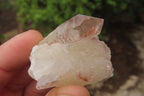 Natural Red Hematoid Quartz Specimens x 35 From Karoi, Zimbabwe - Toprock Gemstones and Minerals 