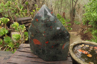 Polished Bloodstone Point x 1 From Swaziland - Toprock Gemstones and Minerals 