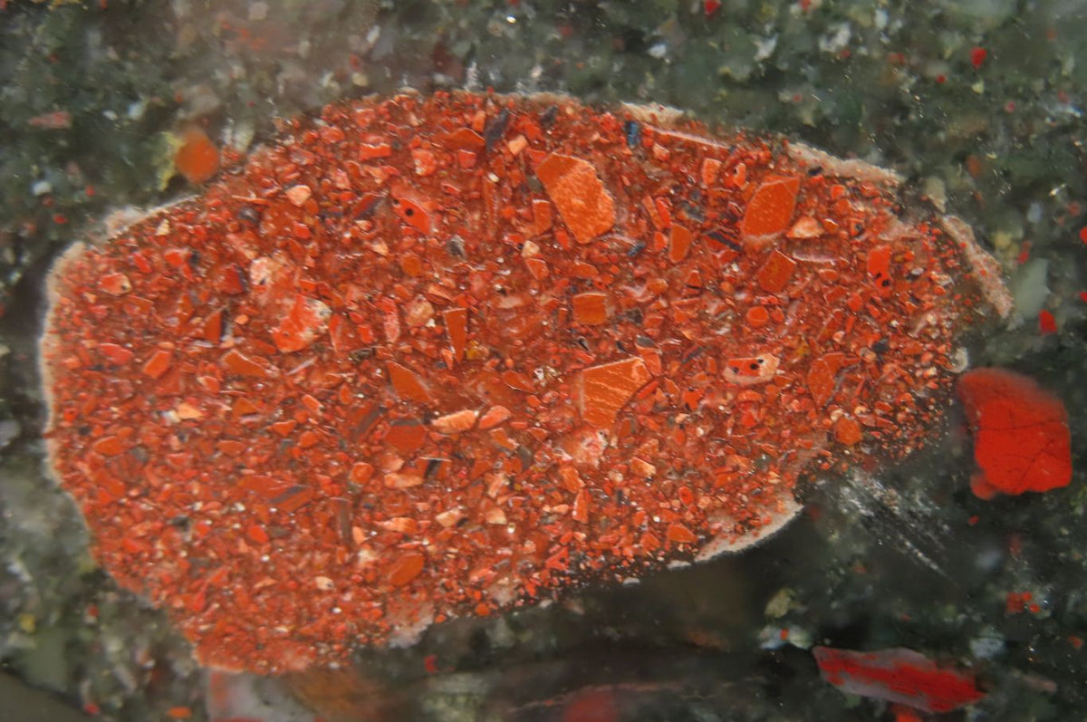 Polished Bloodstone Point x 1 From Swaziland - Toprock Gemstones and Minerals 