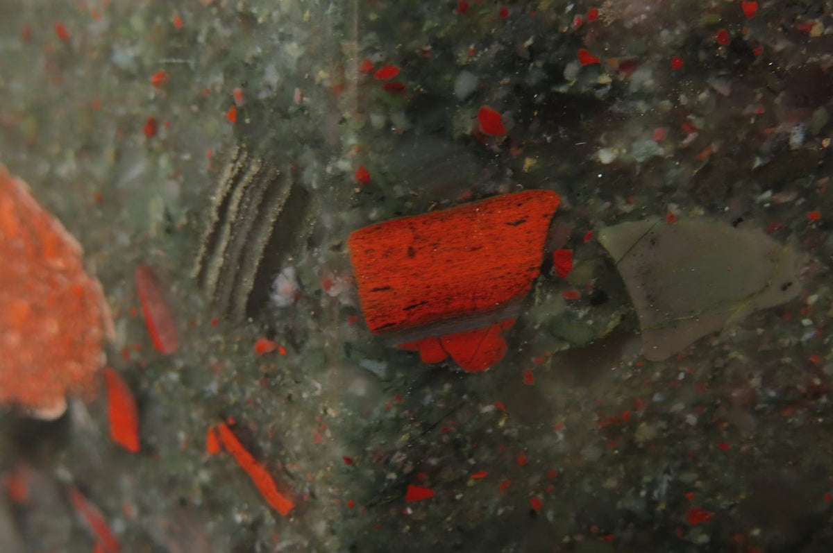 Polished Bloodstone Point x 1 From Swaziland - Toprock Gemstones and Minerals 