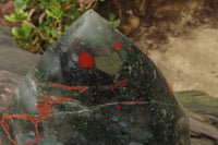 Polished Bloodstone Point x 1 From Swaziland - Toprock Gemstones and Minerals 