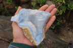 Natural Blue Lace Agate Geode Specimens x 10 From Nsanje, Malawi - Toprock Gemstones and Minerals 