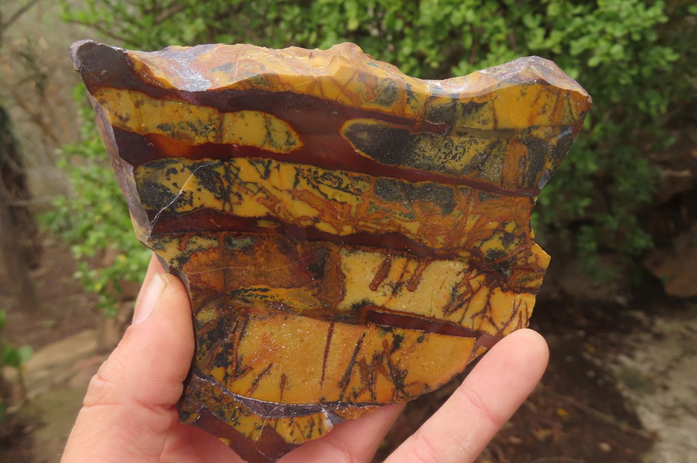 Polished On One Side Nguni Jasper Specimens x 2 From Prieska, South Africa - Toprock Gemstones and Minerals 