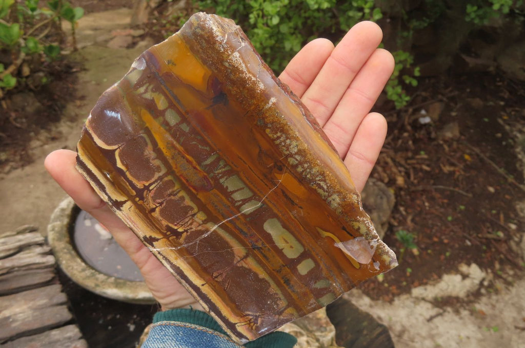 Polished On One Side Nguni Jasper Specimens x 2 From Prieska, South Africa - Toprock Gemstones and Minerals 