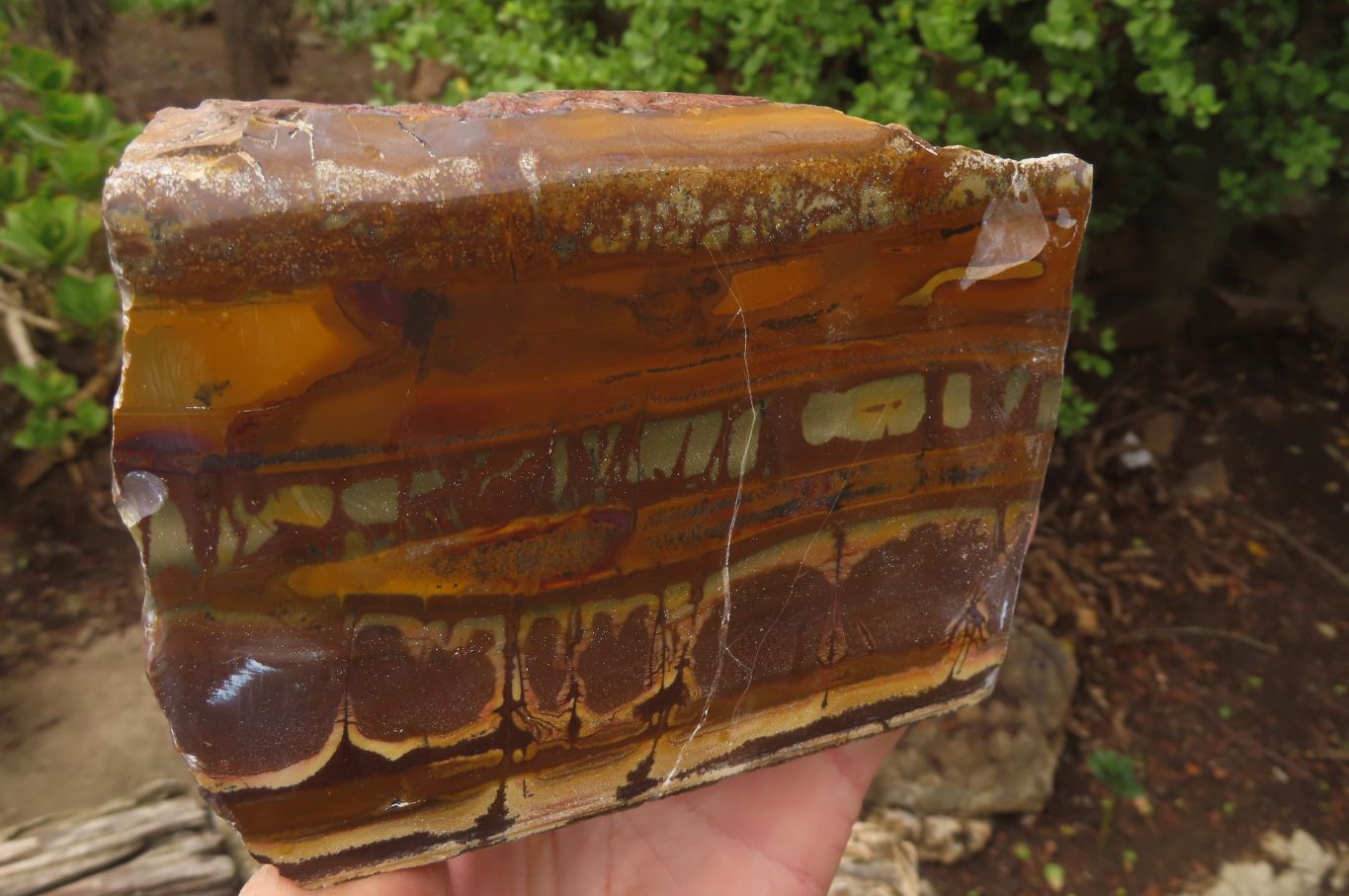 Polished On One Side Nguni Jasper Specimens x 2 From Prieska, South Africa - Toprock Gemstones and Minerals 