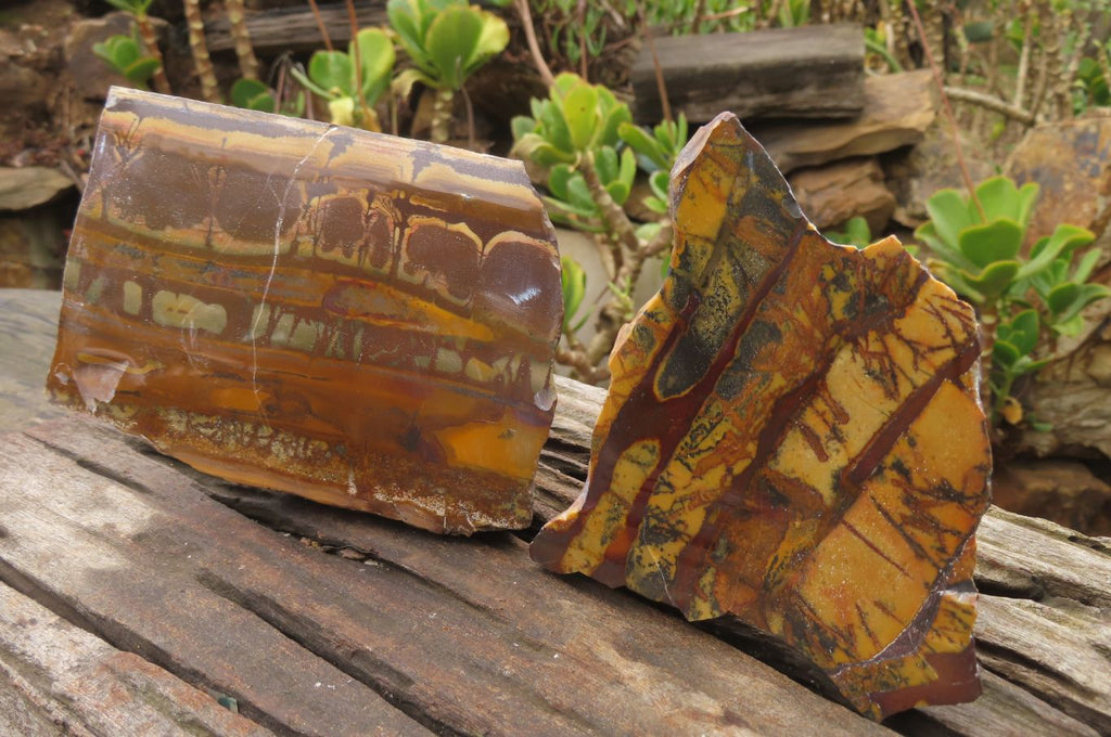 Polished On One Side Nguni Jasper Specimens x 2 From Prieska, South Africa - Toprock Gemstones and Minerals 
