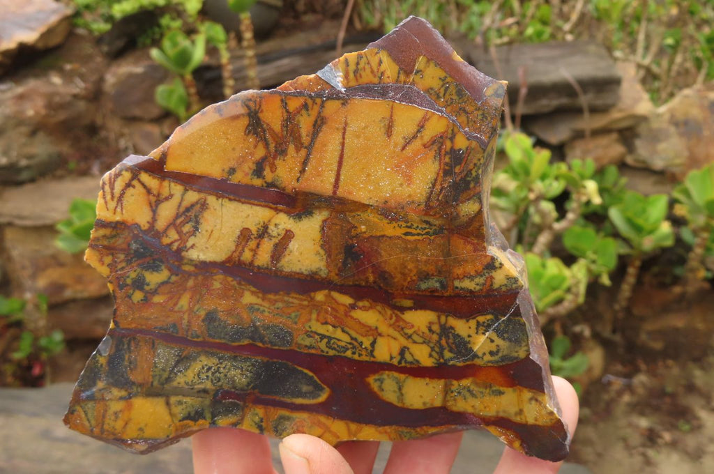 Polished On One Side Nguni Jasper Specimens x 2 From Prieska, South Africa - Toprock Gemstones and Minerals 