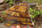 Polished On One Side Nguni Jasper Specimens x 2 From Prieska, South Africa - Toprock Gemstones and Minerals 