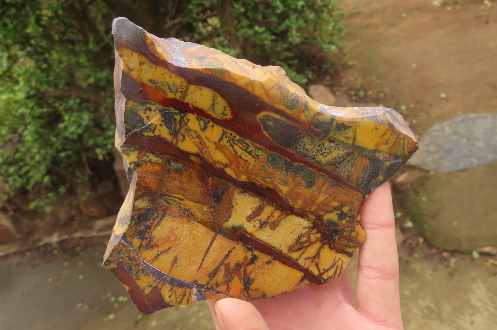 Polished On One Side Nguni Jasper Specimens x 2 From Prieska, South Africa - Toprock Gemstones and Minerals 