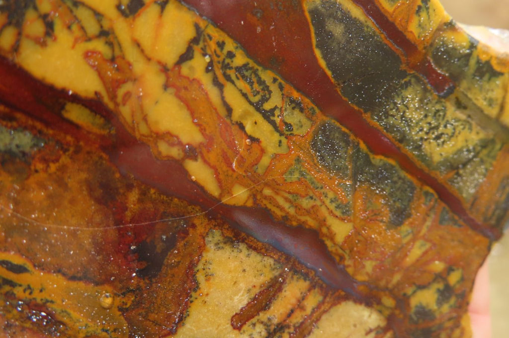 Polished On One Side Nguni Jasper Specimens x 2 From Prieska, South Africa - Toprock Gemstones and Minerals 