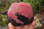 Polished On One Side Rhodonite Specimens x 6 From Madagascar - Toprock Gemstones and Minerals 