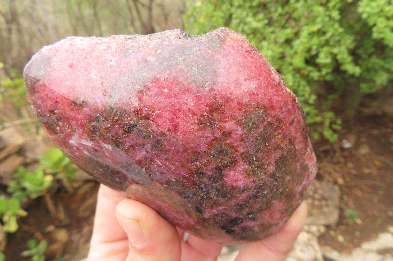 Polished On One Side Rhodonite Specimens x 6 From Madagascar - Toprock Gemstones and Minerals 