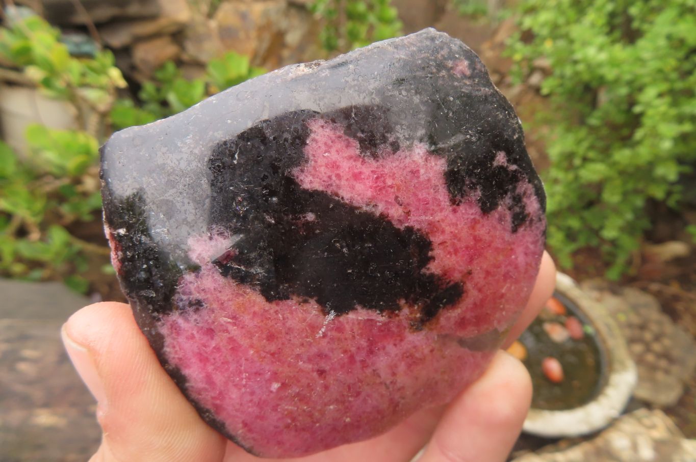 Polished On One Side Rhodonite Specimens x 6 From Madagascar - Toprock Gemstones and Minerals 
