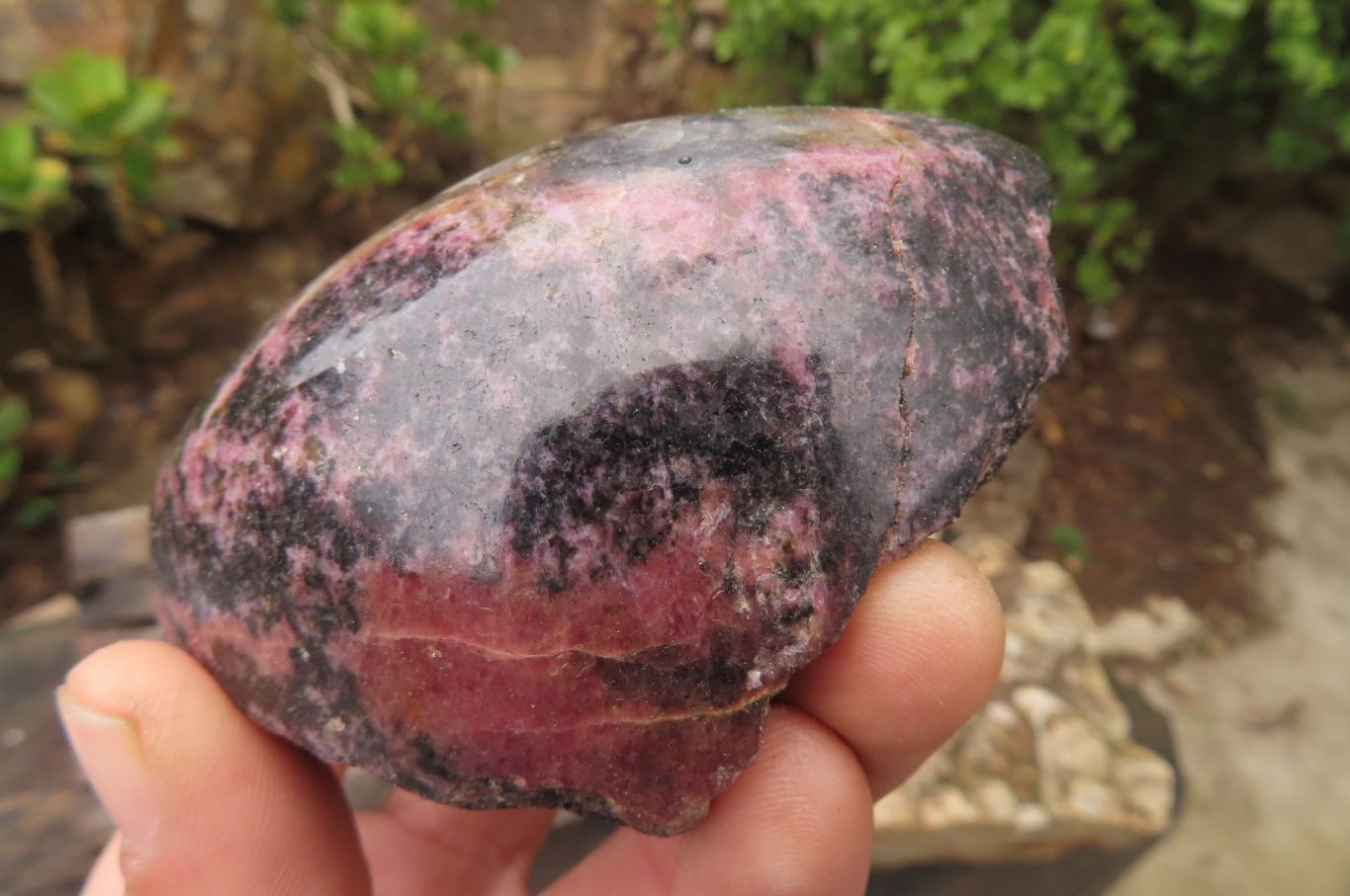 Polished On One Side Rhodonite Specimens x 6 From Madagascar - Toprock Gemstones and Minerals 