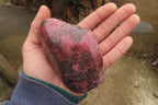 Polished On One Side Rhodonite Specimens x 6 From Madagascar - Toprock Gemstones and Minerals 