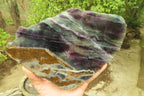 Polished Watermelon Fluorite Slices x 2 From Uis, Namibia - Toprock Gemstones and Minerals 