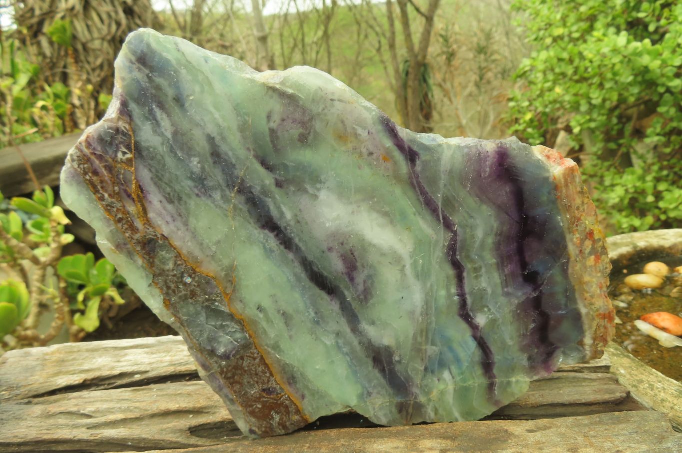 Polished Watermelon Fluorite Slices x 2 From Uis, Namibia - Toprock Gemstones and Minerals 