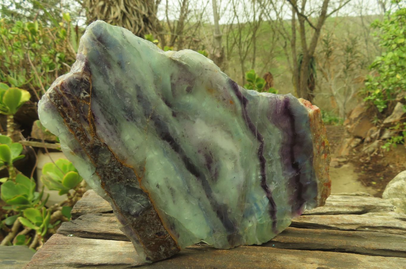 Polished Watermelon Fluorite Slices x 2 From Uis, Namibia - Toprock Gemstones and Minerals 