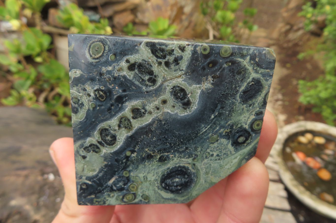 Polished Stromatolite Jasper Cubes x 4 From Madagascar - Toprock Gemstones and Minerals 