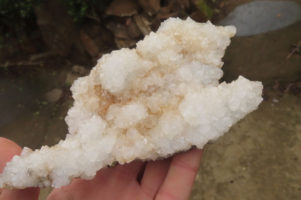 Natural Drusy Quartz Coated Calcite Pseudomorph Specimens x 6 From Alberts Mountain, Lesotho - Toprock Gemstones and Minerals 
