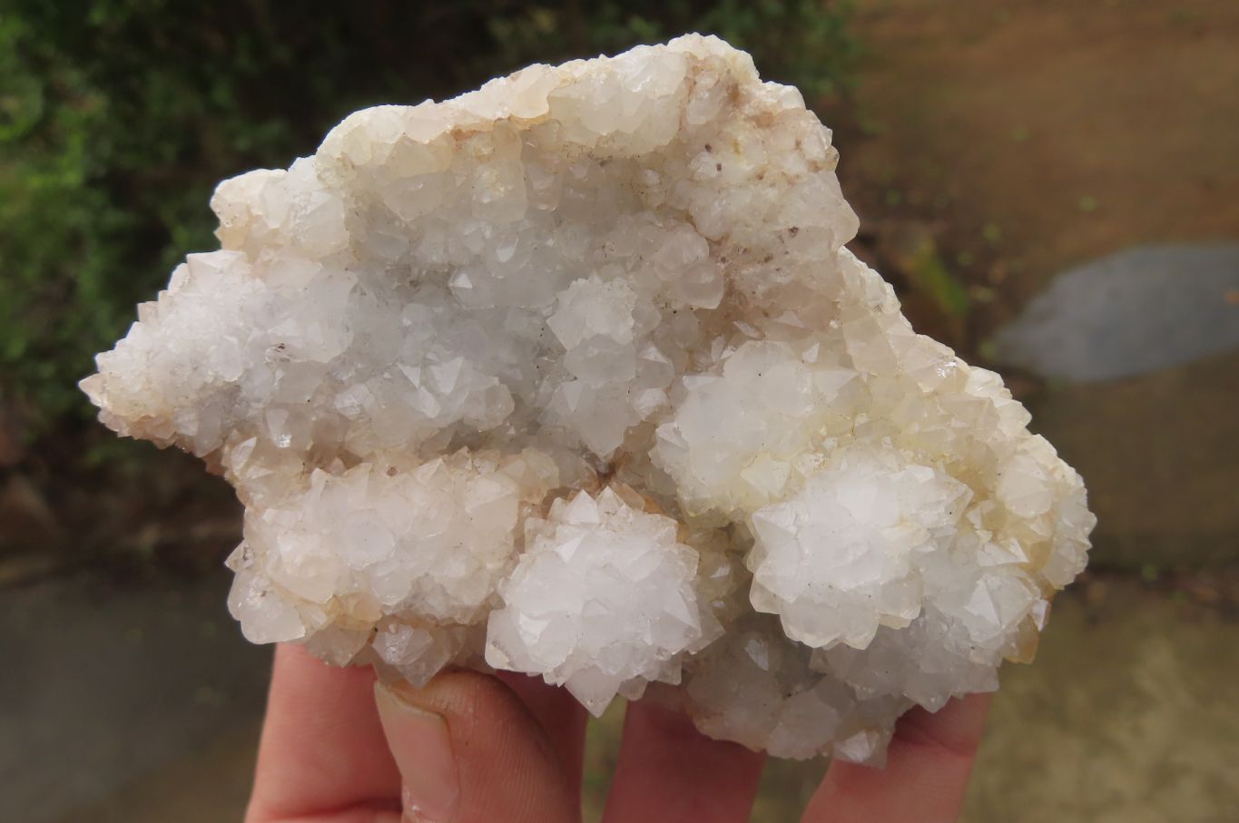 Natural Drusy Quartz Coated Calcite Pseudomorph Specimens x 6 From Alberts Mountain, Lesotho - Toprock Gemstones and Minerals 