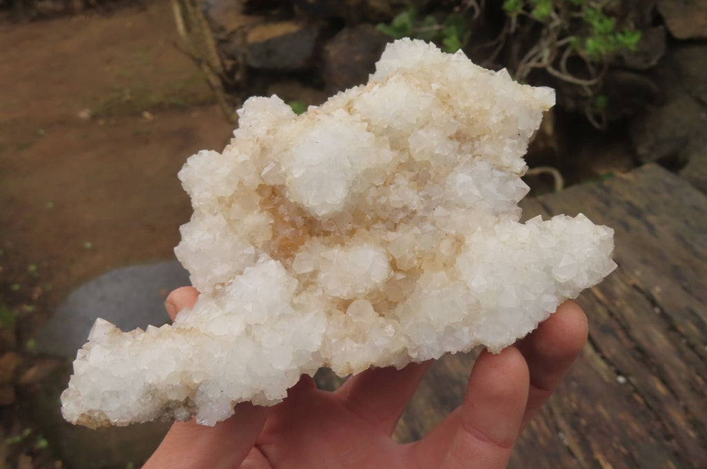 Natural Drusy Quartz Coated Calcite Pseudomorph Specimens x 6 From Alberts Mountain, Lesotho - Toprock Gemstones and Minerals 