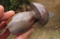 Polished Polychrome Jasper Mushrooms x 5 From Madagascar - Toprock Gemstones and Minerals 