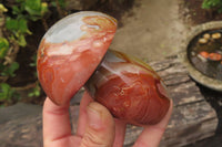 Polished Polychrome Jasper Mushrooms x 5 From Madagascar - Toprock Gemstones and Minerals 