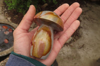 Polished Polychrome Jasper Mushrooms x 5 From Madagascar - Toprock Gemstones and Minerals 